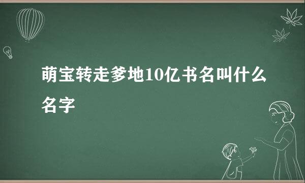 萌宝转走爹地10亿书名叫什么名字