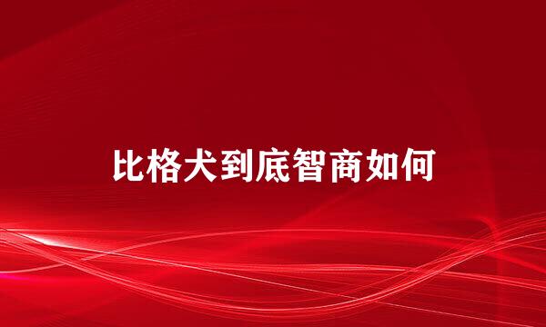 比格犬到底智商如何