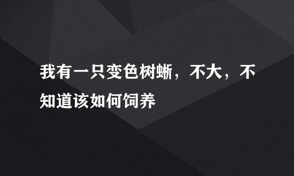 我有一只变色树蜥，不大，不知道该如何饲养