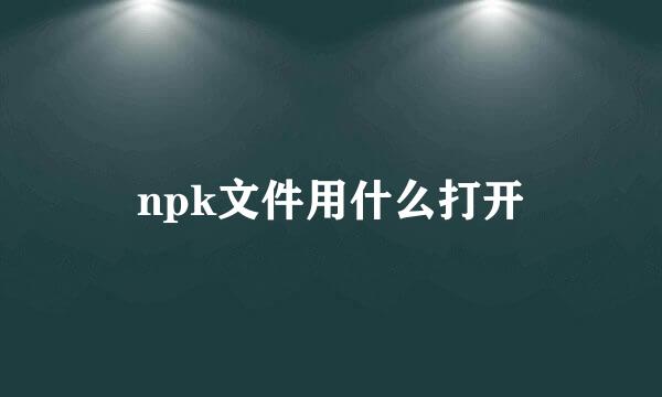 npk文件用什么打开