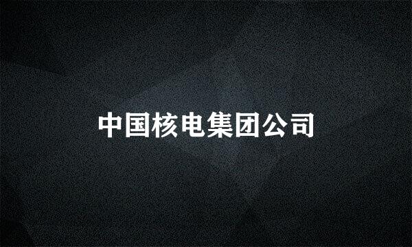 中国核电集团公司