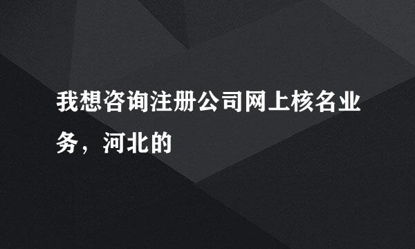 我想咨询注册公司网上核名业务，河北的