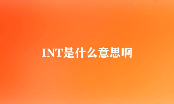 INT是什么意思啊