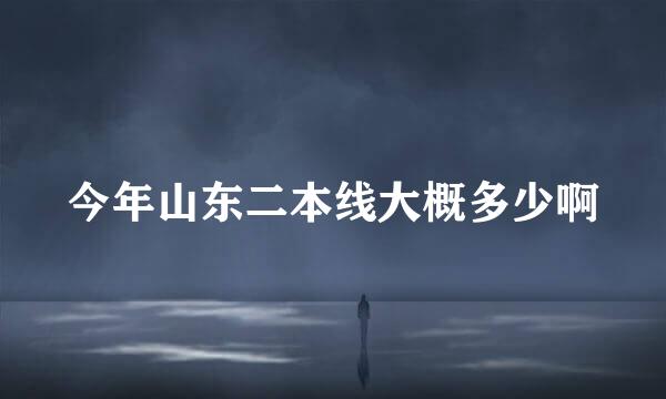 今年山东二本线大概多少啊