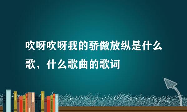 吹呀吹呀我的骄傲放纵是什么歌，什么歌曲的歌词