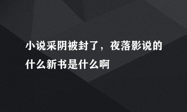 小说采阴被封了，夜落影说的什么新书是什么啊