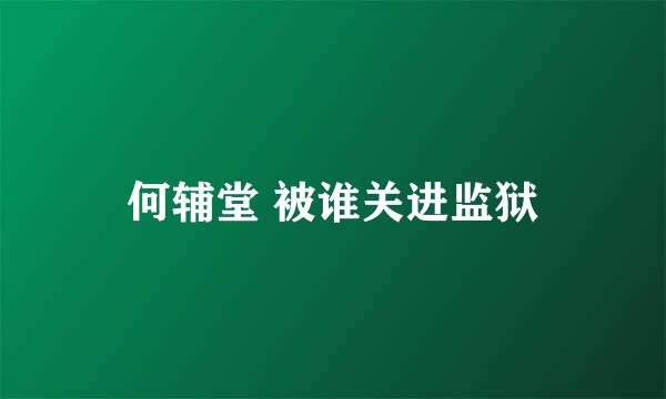 何辅堂 被谁关进监狱