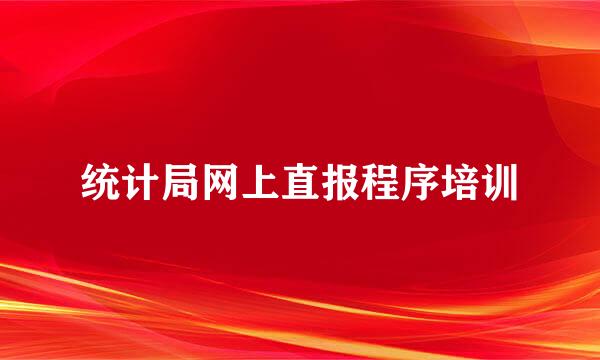 统计局网上直报程序培训