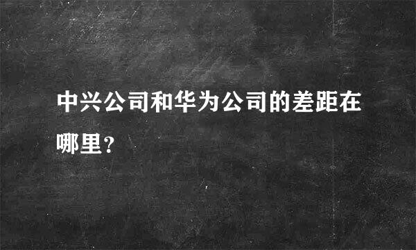 中兴公司和华为公司的差距在哪里？