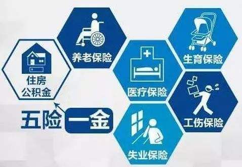 六险两金是什么意思是什么