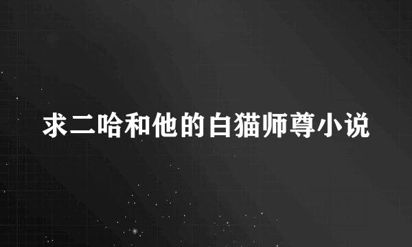 求二哈和他的白猫师尊小说