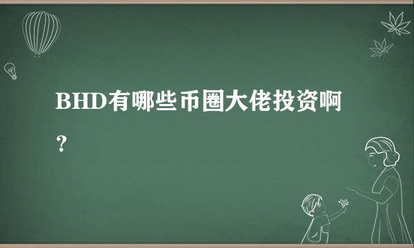 BHD有哪些币圈大佬投资啊？