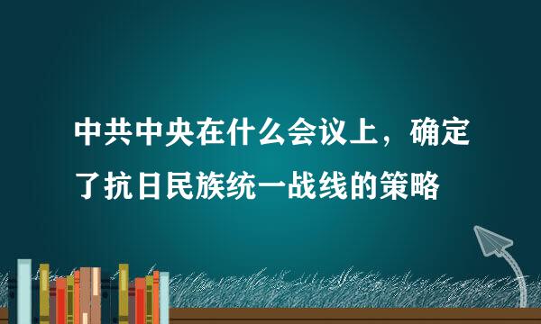 中共中央在什么会议上，确定了抗日民族统一战线的策略