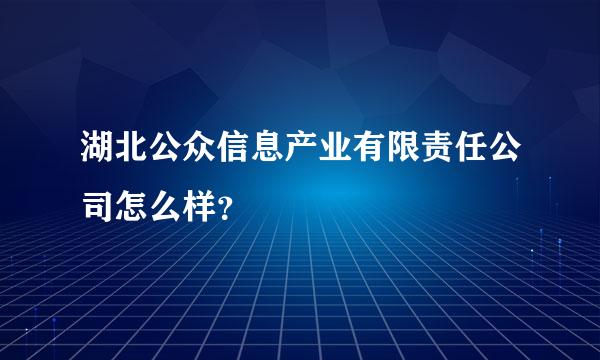 湖北公众信息产业有限责任公司怎么样？