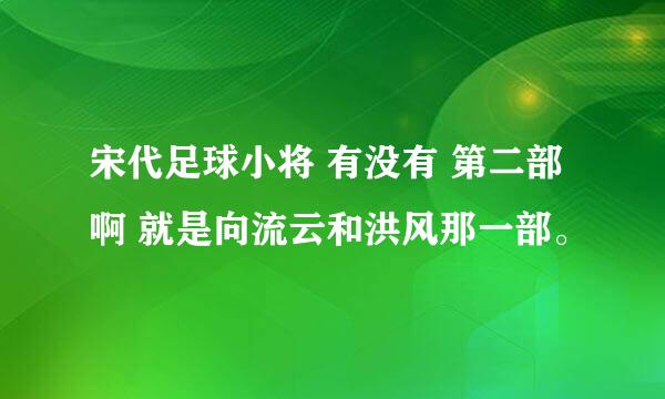 宋代足球小将 有没有 第二部啊 就是向流云和洪风那一部。