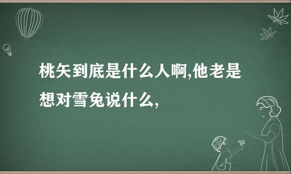 桃矢到底是什么人啊,他老是想对雪兔说什么,