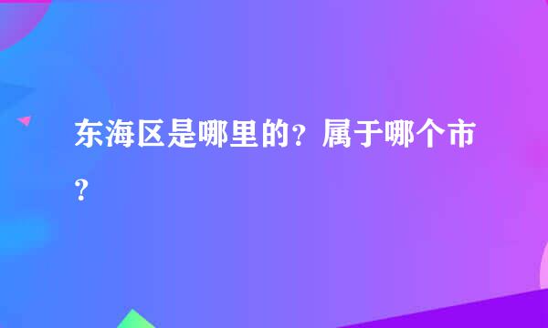 东海区是哪里的？属于哪个市？