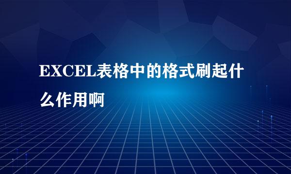 EXCEL表格中的格式刷起什么作用啊