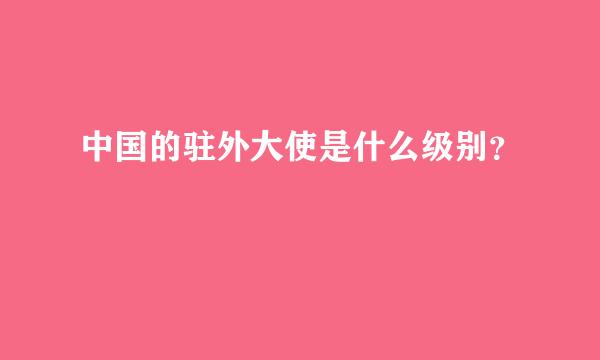 中国的驻外大使是什么级别？