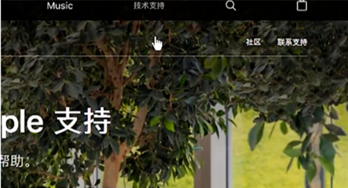 苹果手机itunes store怎么退款流程