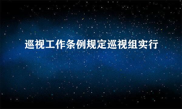 巡视工作条例规定巡视组实行