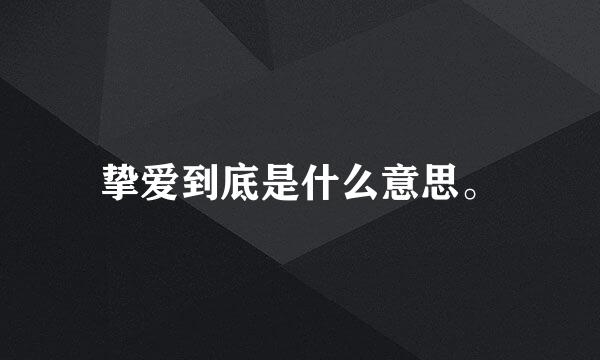 挚爱到底是什么意思。