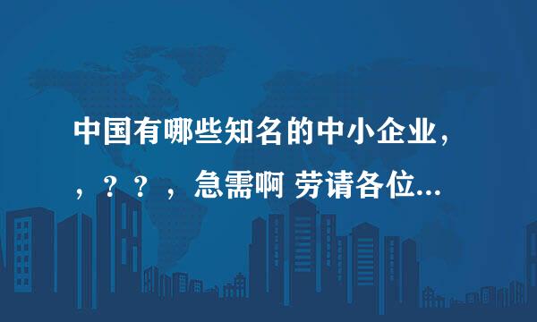 中国有哪些知名的中小企业，，？？，急需啊 劳请各位帮帮忙吧