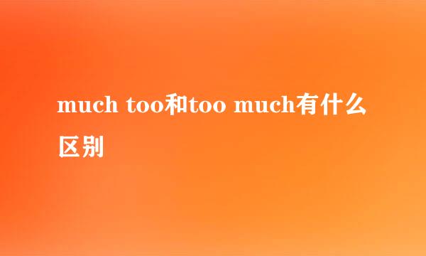 much too和too much有什么区别