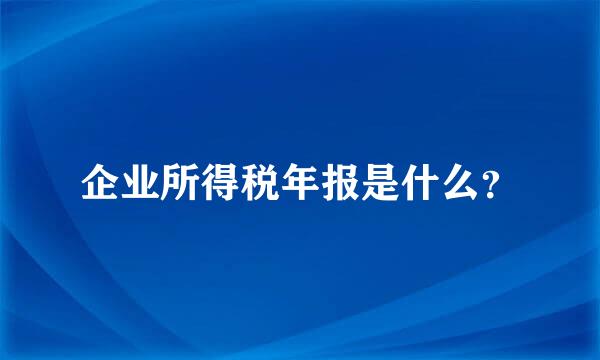 企业所得税年报是什么？