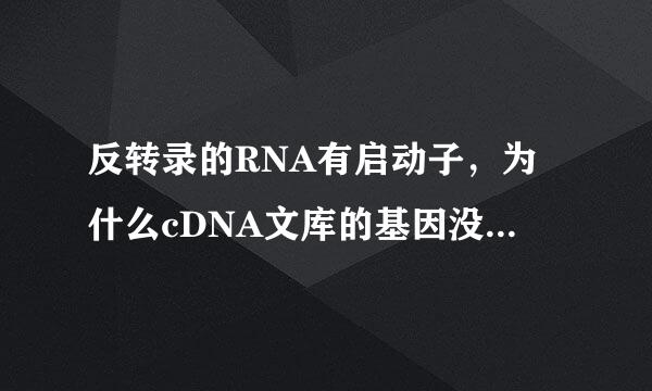 反转录的RNA有启动子，为什么cDNA文库的基因没有启动子，但是基因组文库中就有启动子呢？还有什么