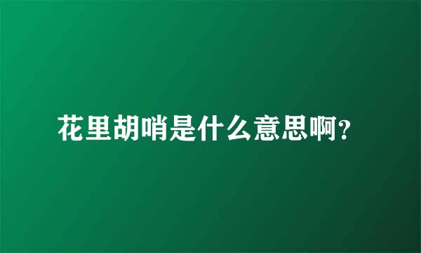 花里胡哨是什么意思啊？