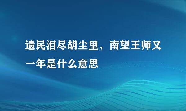 遗民泪尽胡尘里，南望王师又一年是什么意思