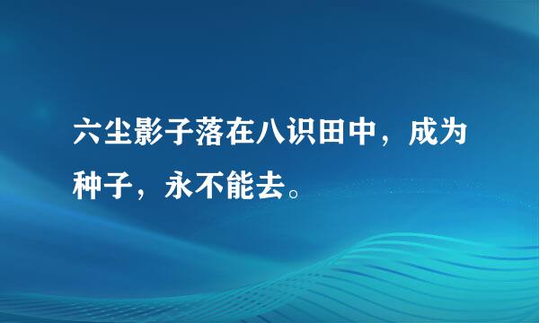 六尘影子落在八识田中，成为种子，永不能去。