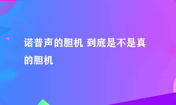 诺普声的胆机 到底是不是真的胆机