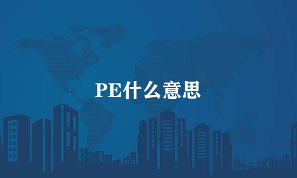 PE什么意思