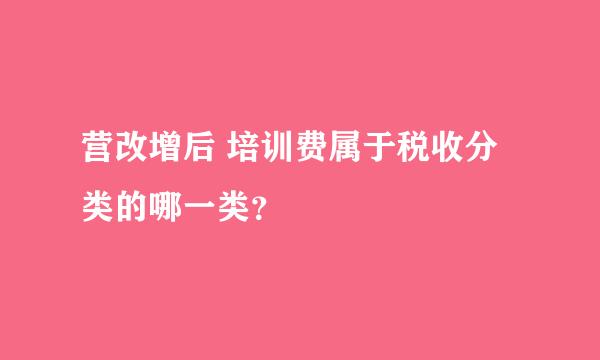 营改增后 培训费属于税收分类的哪一类？