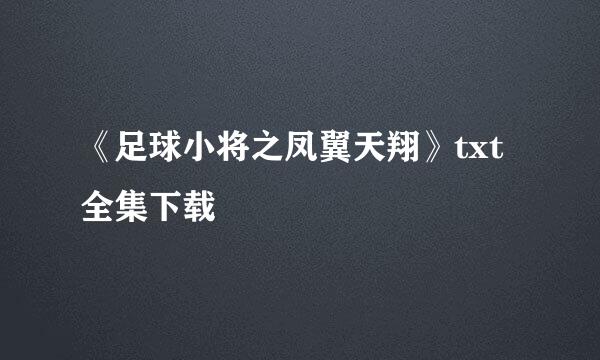 《足球小将之凤翼天翔》txt全集下载