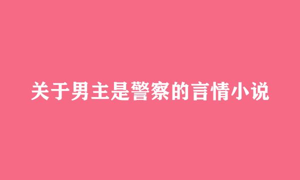 关于男主是警察的言情小说