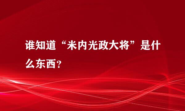 谁知道“米内光政大将”是什么东西？