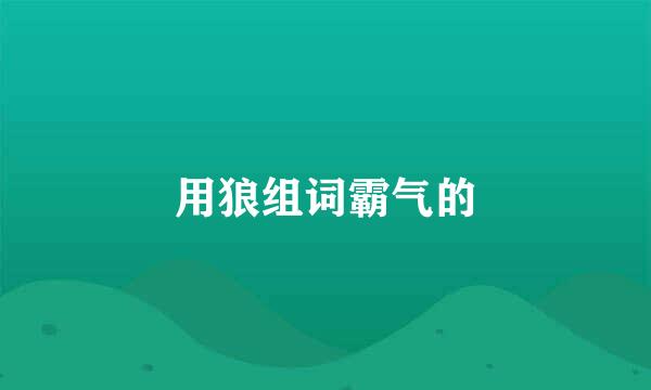 用狼组词霸气的