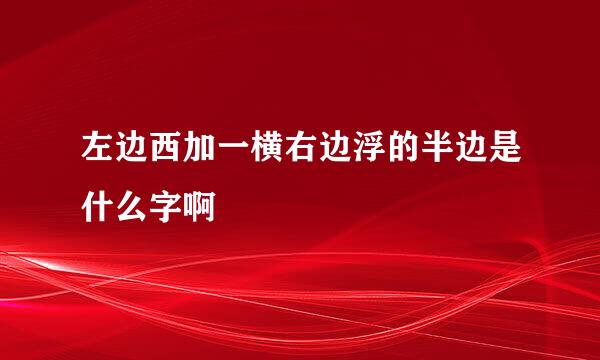 左边西加一横右边浮的半边是什么字啊