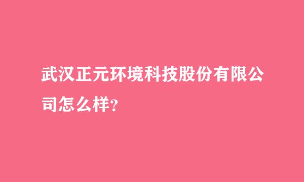 武汉正元环境科技股份有限公司怎么样？