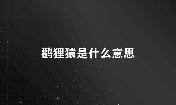 鹳狸猿是什么意思