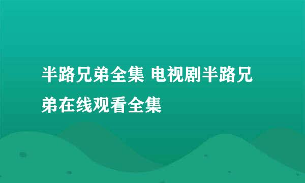 半路兄弟全集 电视剧半路兄弟在线观看全集