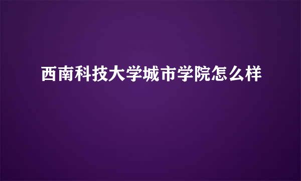 西南科技大学城市学院怎么样