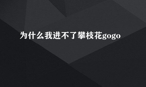 为什么我进不了攀枝花gogo