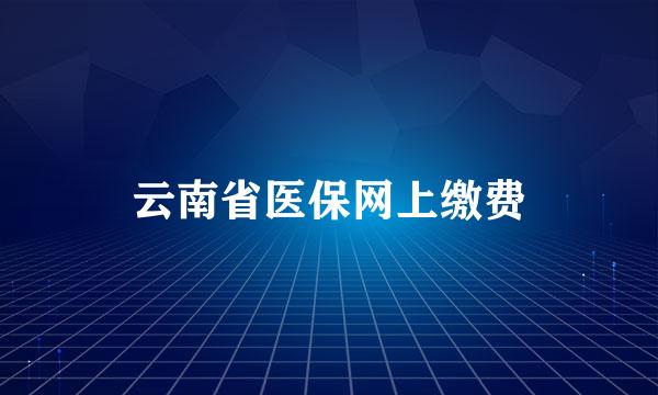 云南省医保网上缴费