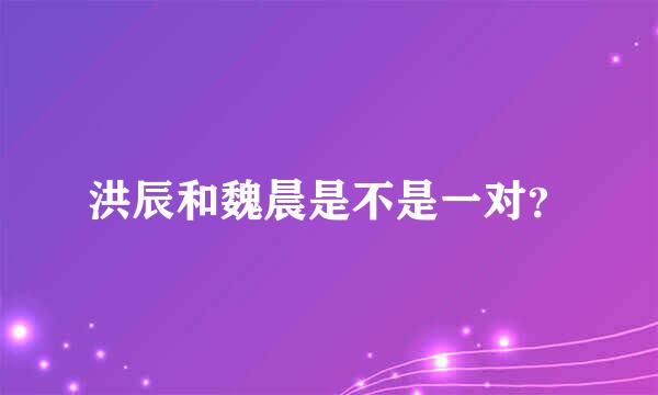 洪辰和魏晨是不是一对？