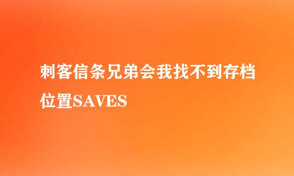 刺客信条兄弟会我找不到存档位置SAVES