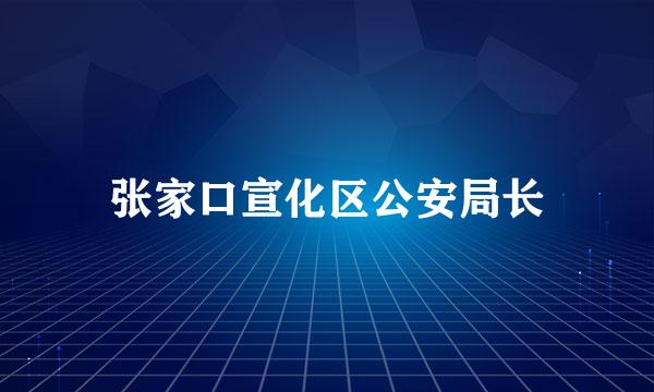 张家口宣化区公安局长